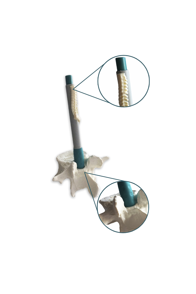 Conjunto suporte ou base para esferográfica em formato vértebra e esferográfica
